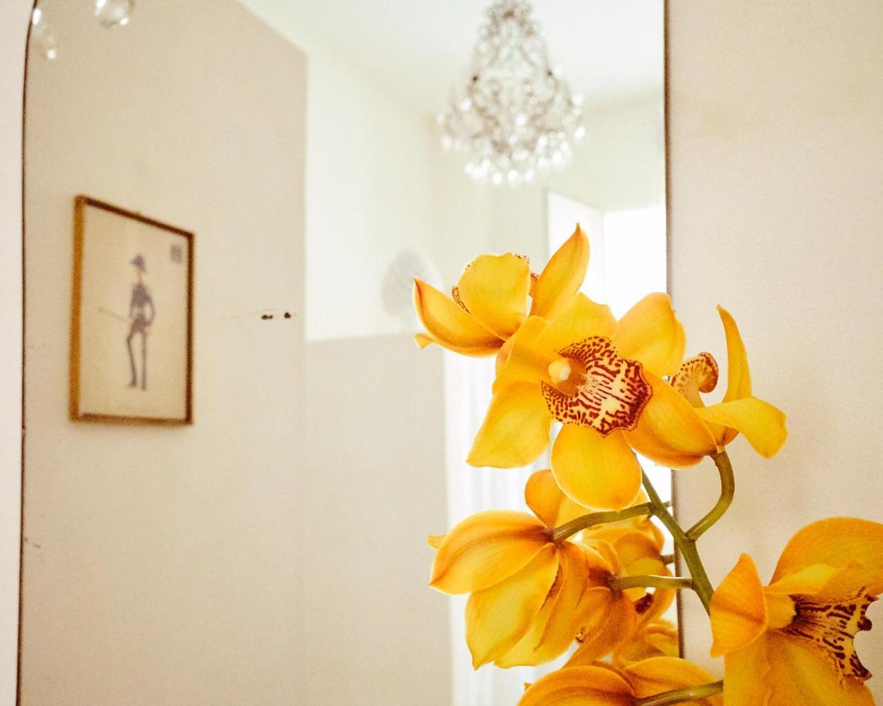 Casa Scianna Noto Hotel Екстериор снимка
